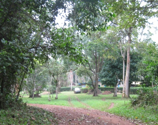 The Lower camp at MUBFS-Kanyawara