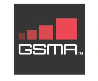 GSMA mWomen Grand Challenge