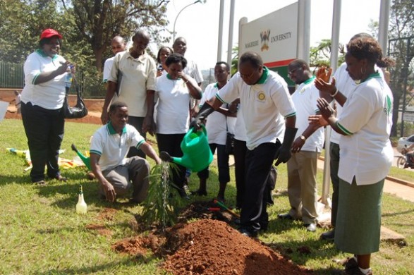 Eng. Dominic Kavutse watering the tree he planted at the main gate of Makerere University.