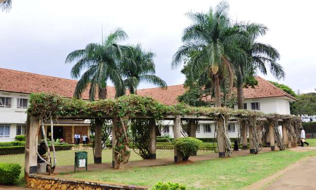 School of Agricultural Sciences, College of Agricultural and Environmental Sciences (CAES), Makerere University, Kampala Uganda