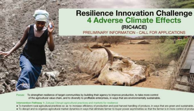 RIC4ACE Pre-liminary Information, Call for Applications by ResilientAfrica Network (RAN), School of Public Health, CHS, Makerere University, Kampala Uganda