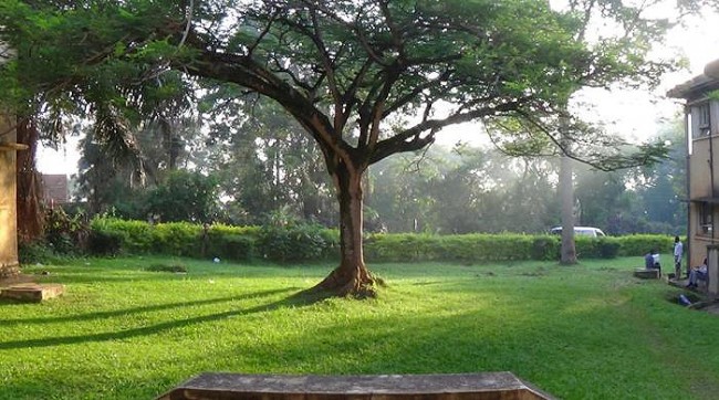 The Physics Quadrangle, Physics Department, College of Natural Sciences (CoNAS), Makerere University, Kampala Uganda. Photo Courtesy Benon Fred Twinamasiko