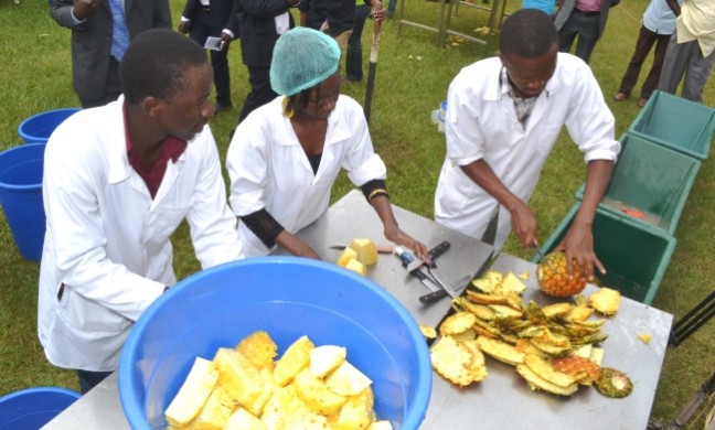 Students of Food Science and Technology, CAES participate in fruit processing as part of the Internship Exhibition, 8th August 2014, MUARIK, Wakiso, Uganda