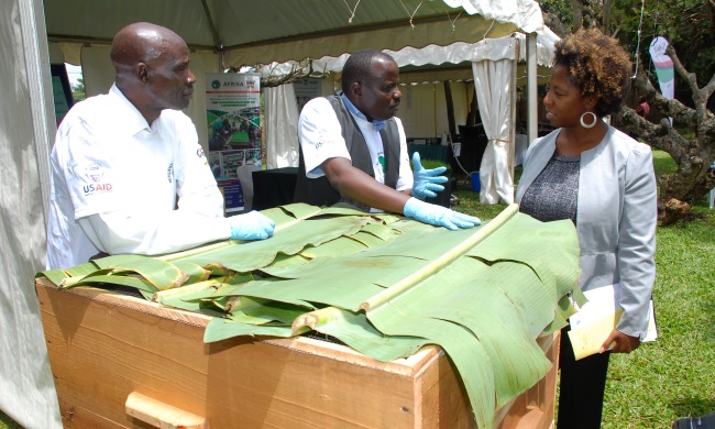 Assoc. Prof. Fred Kabi, CAES (C) explains how the Earthworm Breeding Project works at the RIC4ACE Grants Call Launch, 13th August 2014, RAN, MakSPH, CHS, Kololo Offices, Kampala Uganda