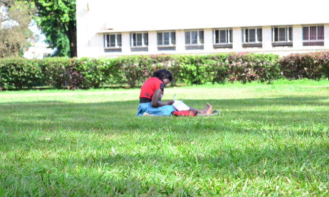 A student reading in the lawn near College of Humanities and Social Sciences.