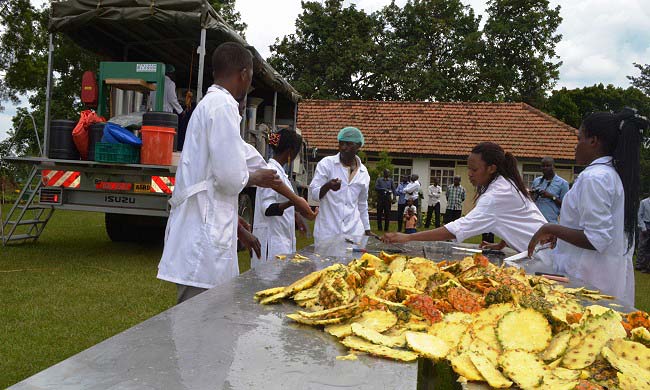 Students of Food Technology prepare pineapples for the Mobile Food Processing Truck during a Student Exhibition, 8th August 2014, MUARIK, CAES, Wakiso Uganda.