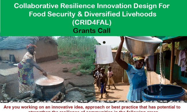 The Collaborative Resilience Innovation Design for Food Security and Diversified Livelihoods in the face of Rapid Urbanization (CRID4FAL) Grants call by ResilientAfrica Network (RAN) - West Africa Resilience Innovation Lab (WA RILab)