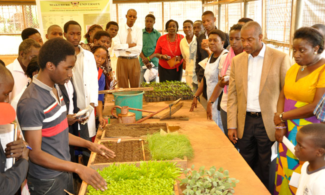 Students demonstrating at an Internship Exhibition held at MUARIK on 8th August 2014