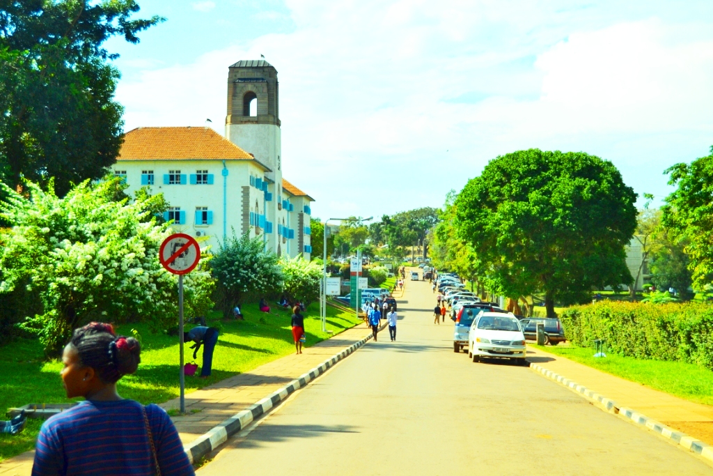 Makerere University Road