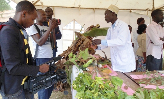 A student Plant Doctor explains to journalists the signs of pest and disease infestation as well as symptoms of plant nutrient deficiency