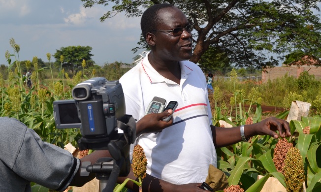 Sweet sorghum varieties launch in Bukedea district, July 2012