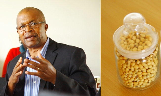 Prof.Phinehas Tukamuhabwa - A Makerere Plant breeder defends his data before the National Variety Release Committee on Friday 24th November 2017 at MAAIF's Namalere Department of Crop Protection. Right is a sample of the new Maksoy 6N which is high yielding, early maturing (under 120 days) with high protein and oil content of 41% and 20 % respectively.