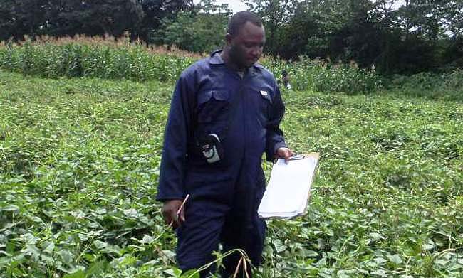 Dr. Emmanuel Afutu in the field during his PhD research. Image:RUFORUM
