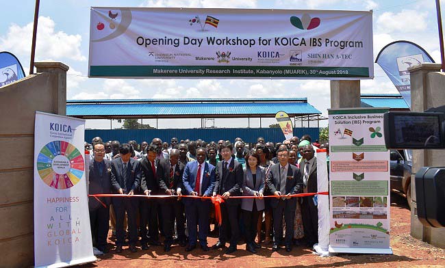 DVCFA-Prof. William Bazeyo (5th L) joined by The Korean Ambassador's Representative-Lee Jun-hee (4th R), Principal CAES-Prof. Bernard Bashaasha (4th L), IBS Project Manager-Cho Jin-Kook (2nd L), Chief Director Eagle Vet Uganda (3rd L), Country Director KOICA (3rd R) and other officials cut the tape to mark the KOICA IBS Program Launch on 30th August 2018 at MUARIK, CAES, Makerere University, Wakiso Uganda