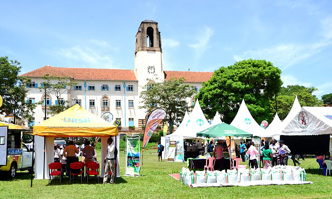 Students and Exhibitors set up their innovations during the CAES Students' Expo on 21st March 2017, Freedom Square, Makerere University, Kampala Uganda