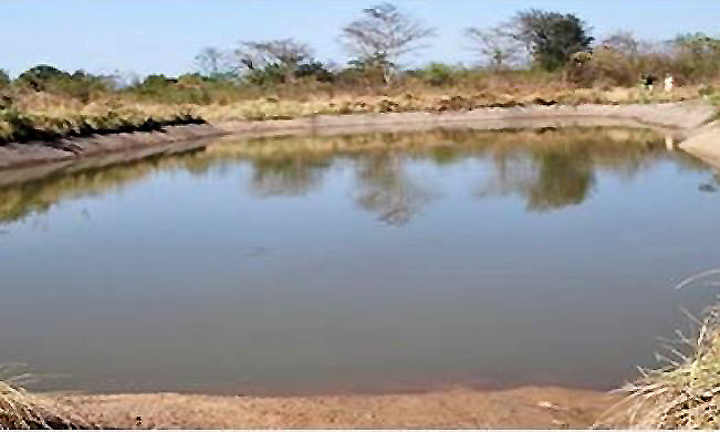 The 1967 Government dam that was rehabilitated by Makerere University under the WATERCARP project in 2011. The valley dam sustains over 1,000 cattle from seven parishes in Wanzogi sub-County, Nakasongola District throughout the dry season.