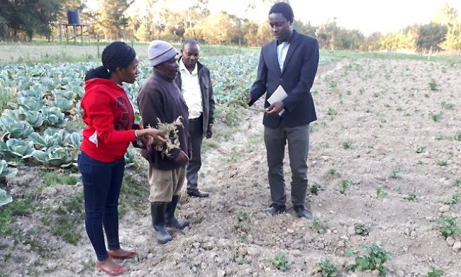 Two of the students Amwine Lameck (Right) and Lucky Nyasulu (Left) interacting with a farmer during field supervision in Nyahururu, Kenya. Image:RUFORUM