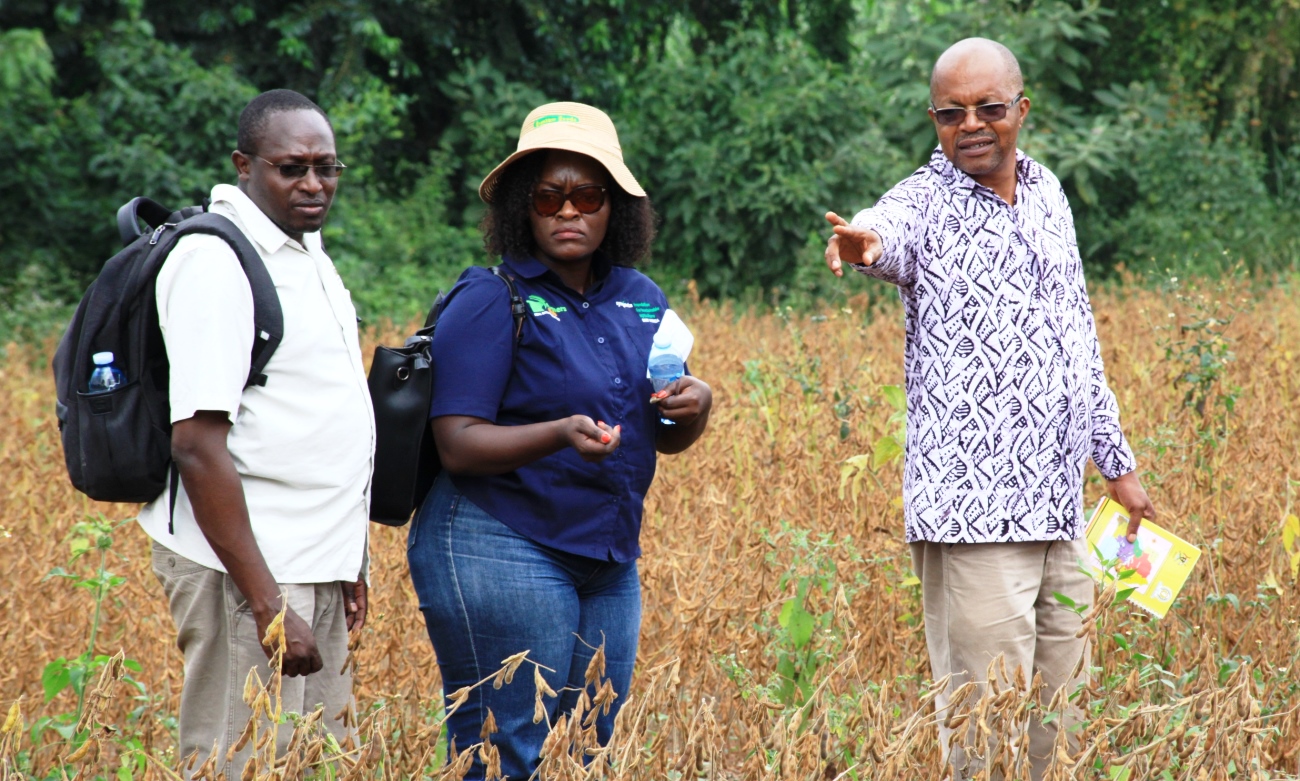 Prof. Phinehas Tukamuhabwa (Right) shows David Taurus (Left) and a Representaive for AATF around one of the demonstration plots during the Field Day on 29th July 2019 at MUARIK, CAES, Makerere University, Wakiso, Uganda.