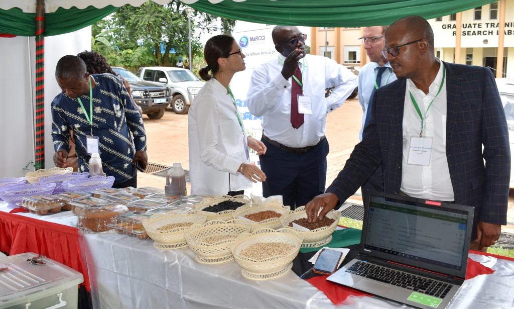 The PI MaRCCI-Dr. Richard Edema (3rd Left) shows World Bank and IUCEA Officials around exhibition stalls during the Mid-Term Review Mission on 30th October 2019, CAES, MUARIK, Makerere University, Wakiso Uganda.