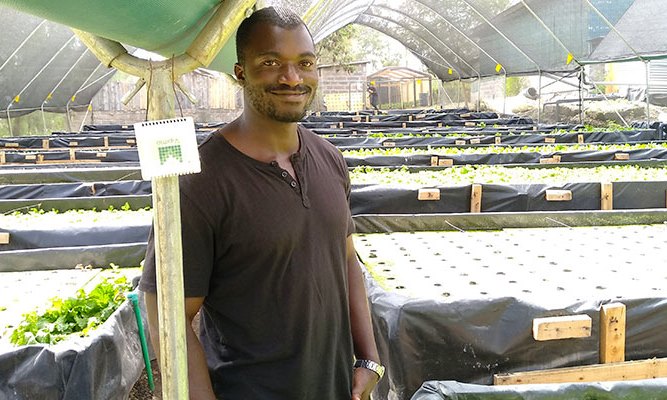 Emmanuel Biketi, Horticulture Manager at Kikaboni Farm in Olooloitikosh, Kenya with an Upande temperature and relative humidity IoT device. Photo Credit: Dan Sweeney