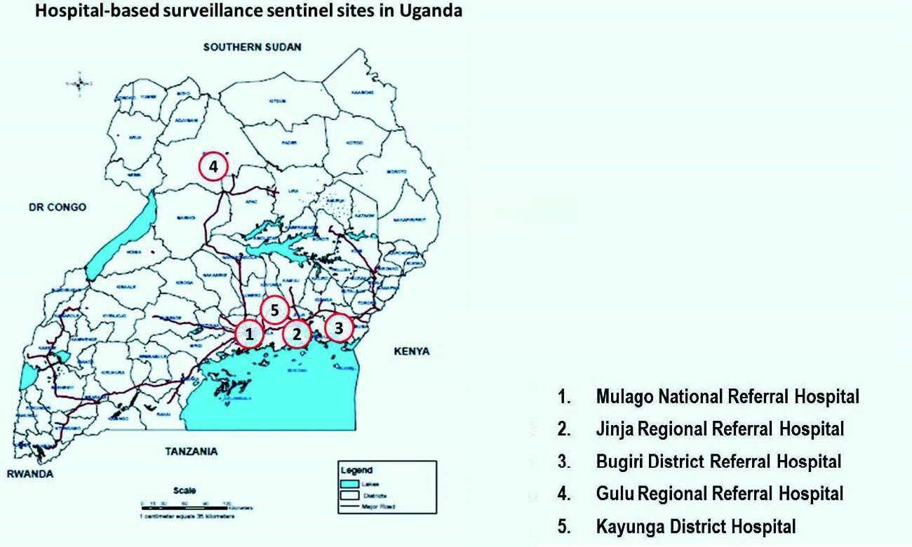 A map showing five hospital-based sentinel sites for surveillance activities established by the Makerere University Walter Reed Project (MUWRP) from 2008. Source: Respiratory viruses in Uganda publication.
