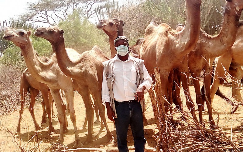 Prof. Denis K. Byarugaba, CoVAB, Makerere University goes coronavirus "hunting" in Karamoja. Date taken: 24th February 2017. IsDB and TWAS have partnered to promote and support quick-response research on key challenges related to the COVID-19 pandemic and the possible consequences.