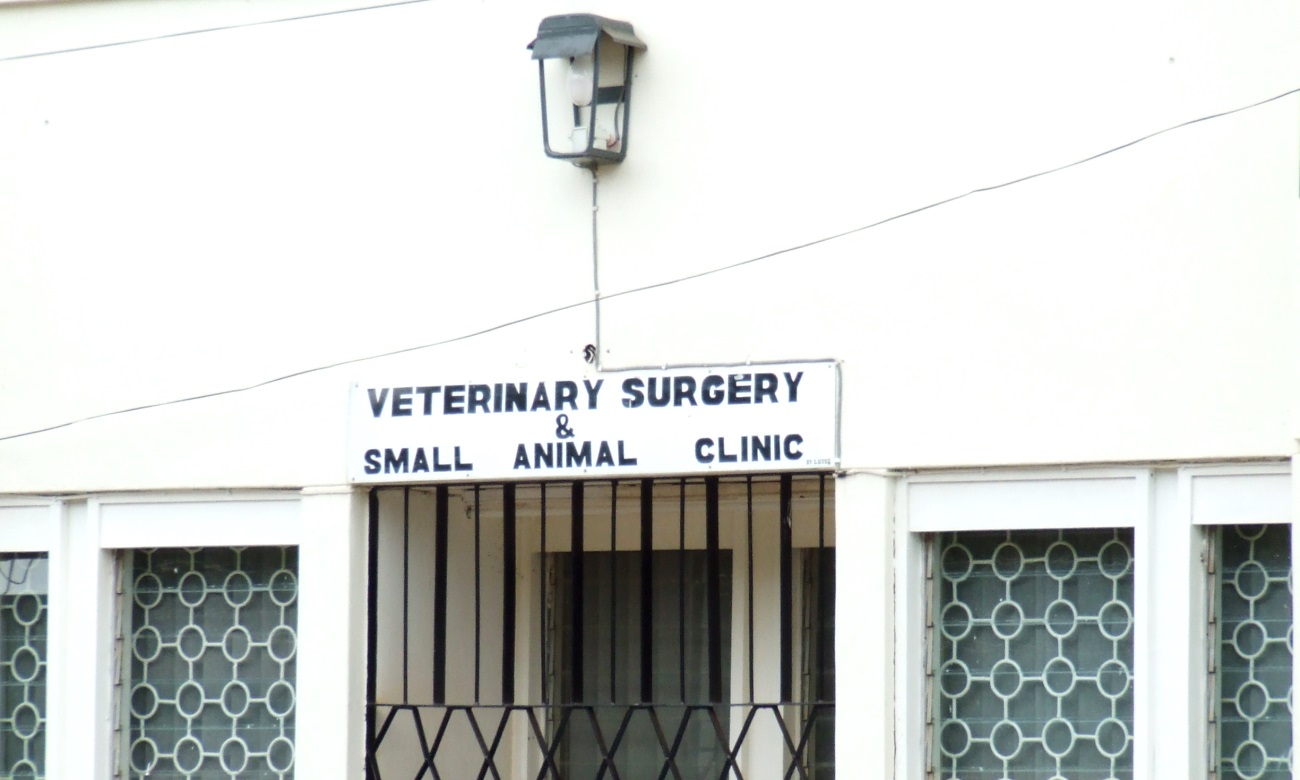The sign above the entrance to the Veterinary Surgery and Small Animal Clinic, College of Veterinary Medicine, Animal Resources and Bio-security (CoVAB), Makerere University, Kampala Uganda.