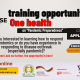 Pandemic Preparedness with One Health approach (PPOH) Course, 1st to 30th November 2020, Makerere University, Kampala Uganda.