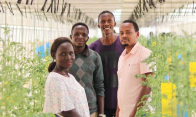 The team while at Makerere University Research Institute Kabanyolo Smart Hydroponics greenhouse