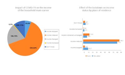 Graphs from the survey report showing the impact of the COVID-19 lockdown on household income for Rural and Peri-Urban settings. By Dr. Dan Kajungu and MUCHAP/IMHDSS Team.