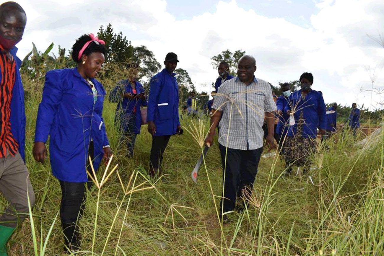 MP-elect Dokolo North Constituency Hon. Moses Ogwal Goli (in white holding panga) joins participants in a site clearing exercise in preparation for the construction of a feedlot structure as part of training under the EU-funded SUPPL-F project at Robran Holdings Limited (RHL), in Buwanuka Wakiso District.