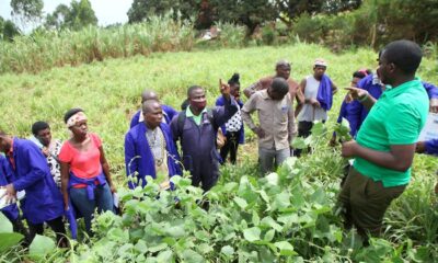 CEO Robran Holdings Limited (RHL), Brian Natwijuka (in green t-shirt) teaches farmers about different pastures as part of the EU-Funded SUPPF-L training held at RHL, Buwanuka, Wakiso district.