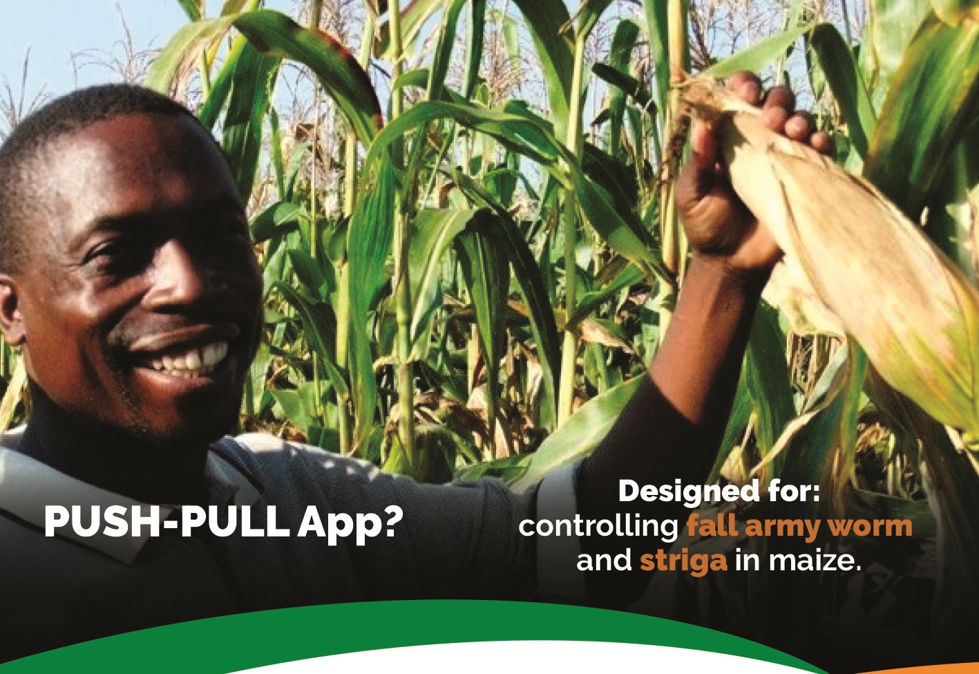 One of the Push-Pull App's Digital Banners showing a happy farmer. Photo: Agape Innovations