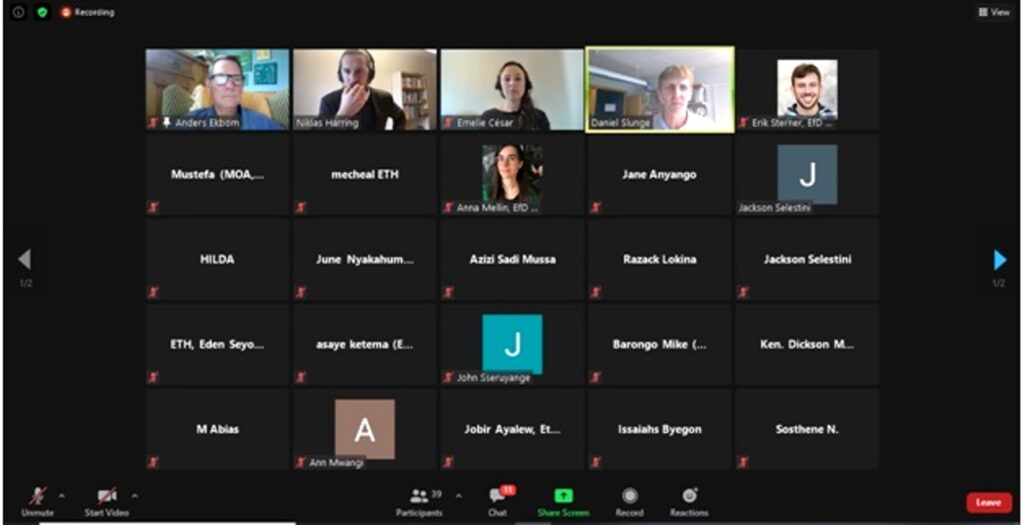 A screenshot of some of the facilitators and participants online