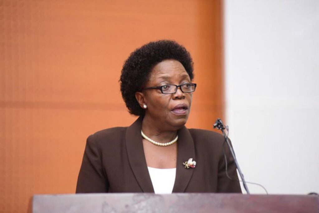 The Executive Director, NCHE, Prof. Mary Okwakol. Courtesy Photo.