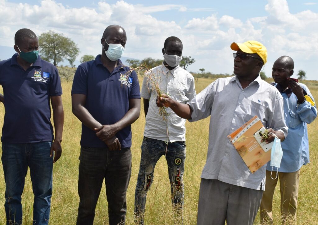 Moroto District Natural Resources Officer-Angella Zachary Lochoro (L) and Napak District Agricultural Officer-Nangiro Abrahams (2nd L) listen to Prof. Denis Mpairwe (R) talk about different species of grasses.