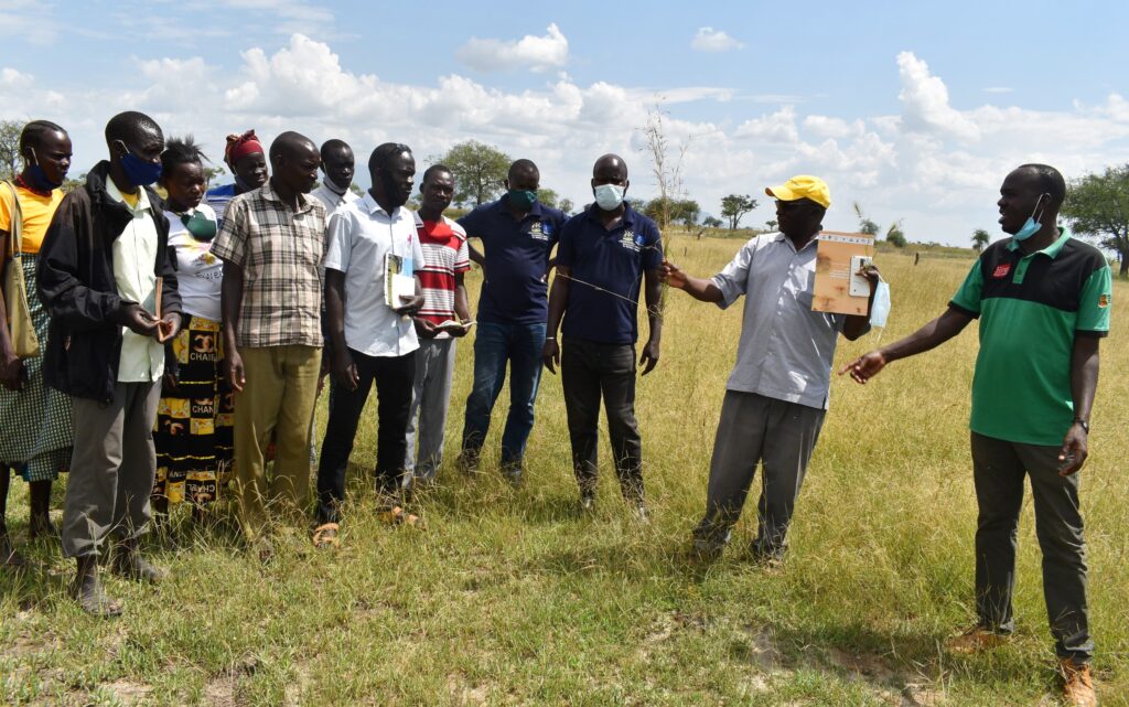 Prof. Denis Mpairwe (2nd R) chats with Napak and Moroto District officials about some of the indigenous species of grass during a tour of the allocated project site.