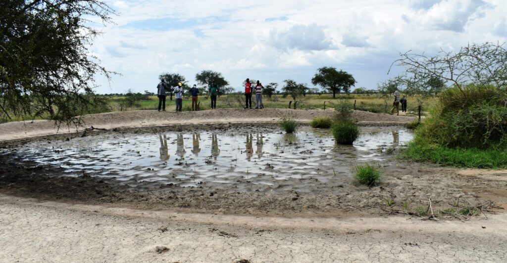 A silted water tank that the project will revive to provide water for animals in the livestock café.