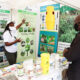 An exhibitor from the International Centre of Insect Physiology and Ecology at the World Food Day Exhibition. Photo credit: ICIPE/Flickr
