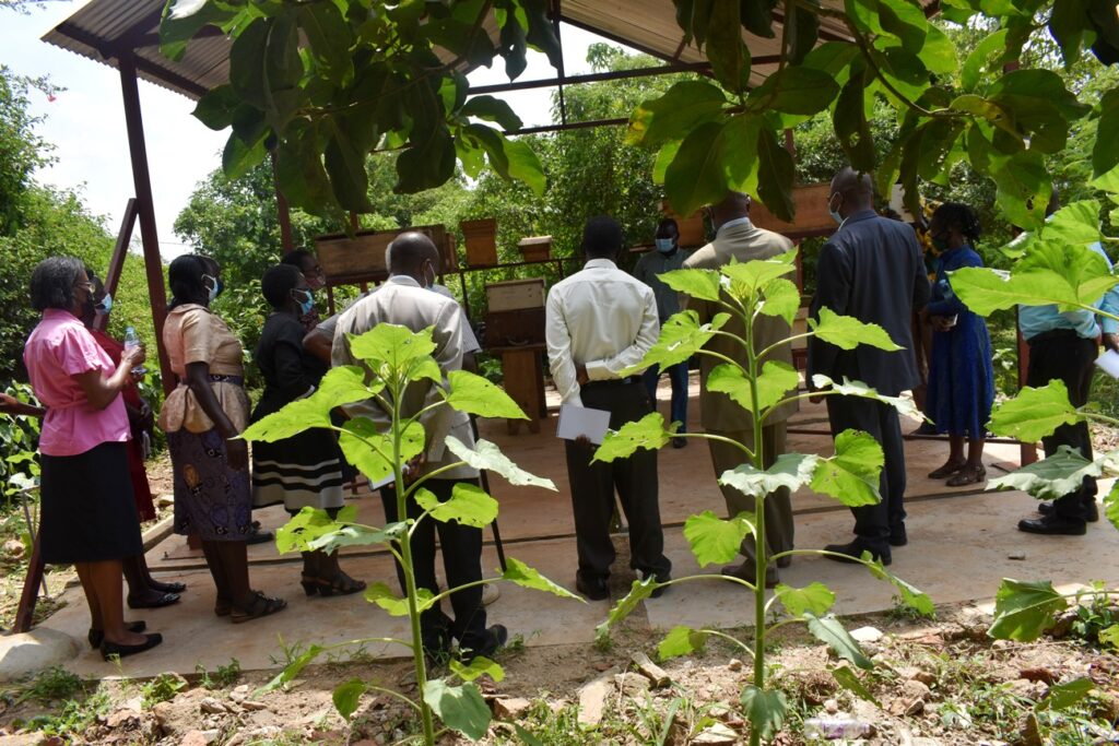 Participants at the Meliponary at NaLIRRI.