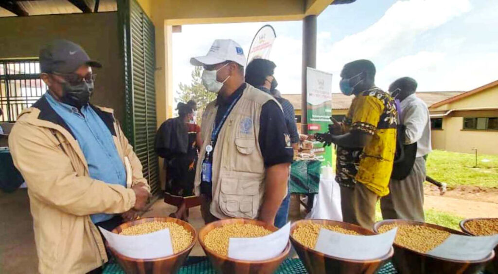 Representatives from FAO and UNDP inspect some of the soybean varieties developed by Makerere University. 