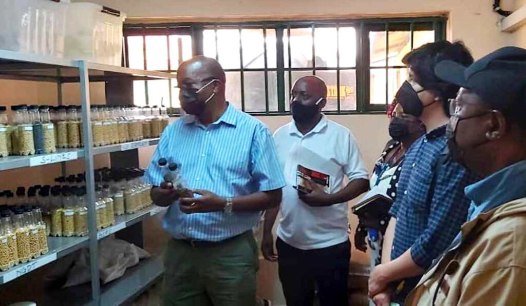 The PI, Prof. Phinehas Tukamuhabwa (L) showcasing some of the soybean varieties at MAKCSID.