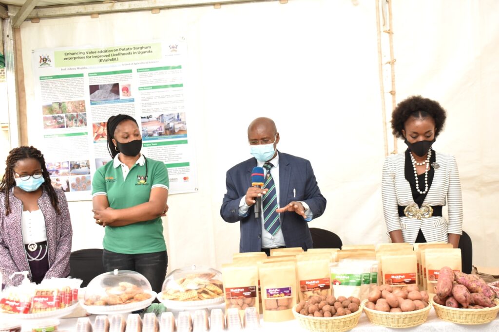 Prof. Johnny Mugisha's project aimed to enhance the value of potato and sorghum.