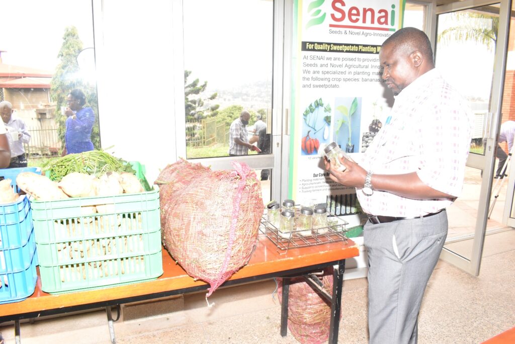 The Head, Department Extension and Innovation Studies at CAES, Prof. Nelson Turyahabwe checks out some of the products developed under the project.