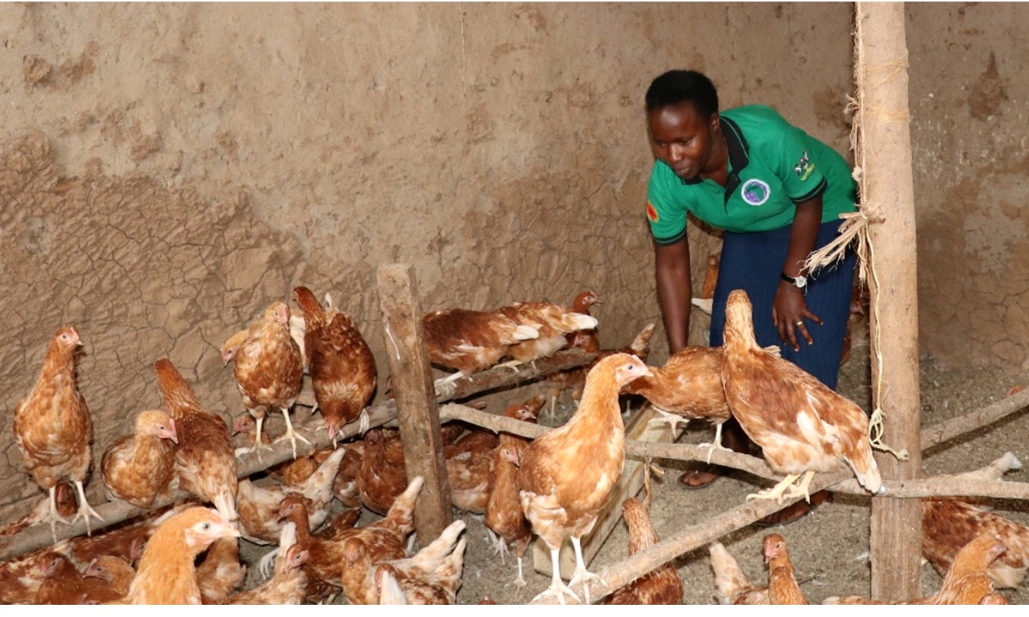 A female AFRISA Graduate tends to her poultry business. Photo credit: AFRISA.