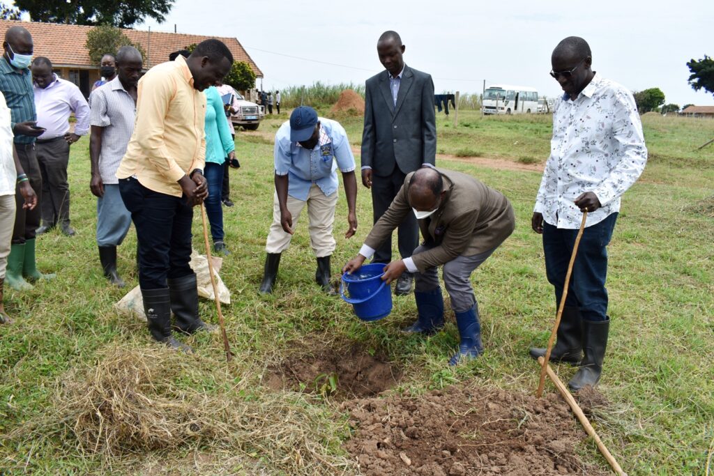 Prof. Barnabas Nawangwe planting a tree in front of the Farm Administration block.