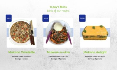 Some of the recipes in the Small Fishes Cookbook developed by the NutriFish Project, Makerere University.