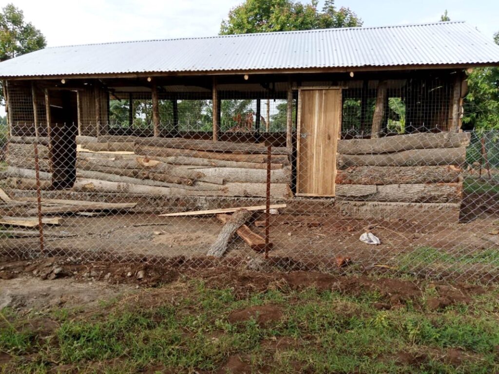 One of the poultry common user facilities which is still under construction at the demonstration site in Kaberekeke village, Butebo District. 