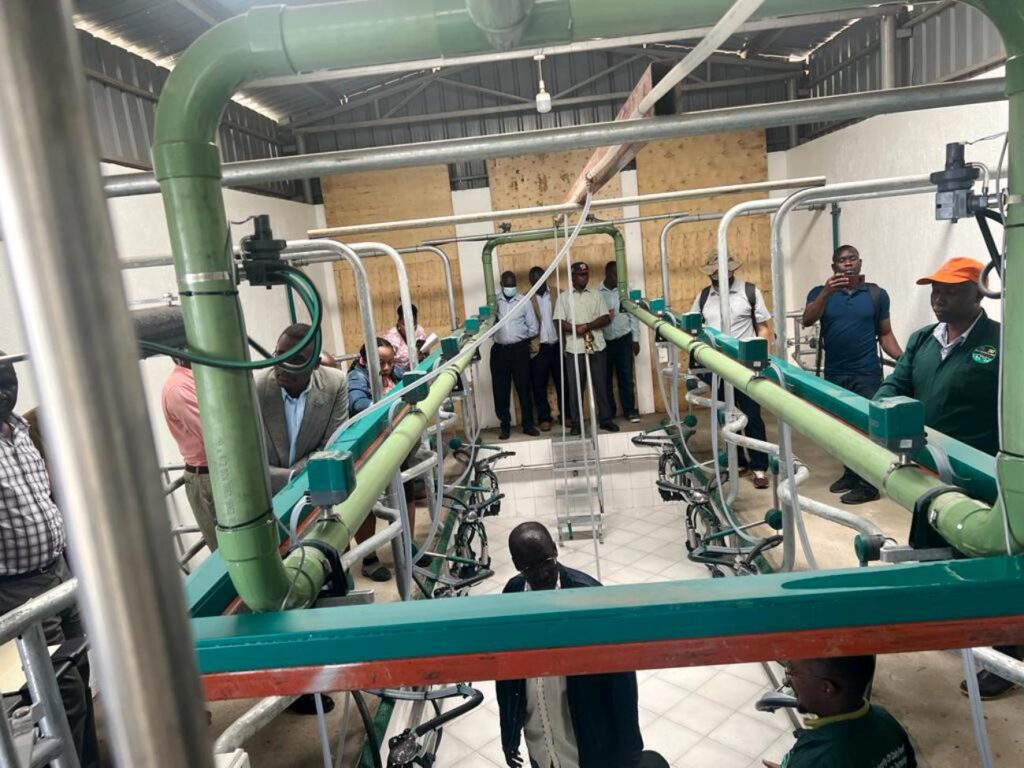  The Milking Parlour at the Dairy Demonstration farm at Nakyesasa