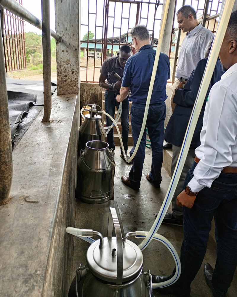 Stakeholders visit Kitale Farm.